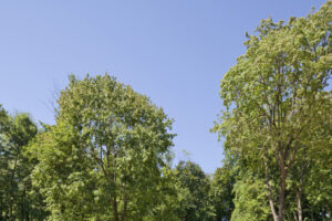 Country Estate by Roger Ferris + Partners, Connecticut, United States Country Estate by Roger Ferris + Partners, Connecticut, United States